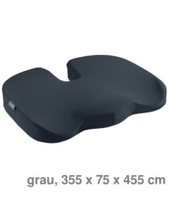 Leitz Sitzkissen "Cosy" grau 355 x 75 x 455 cm